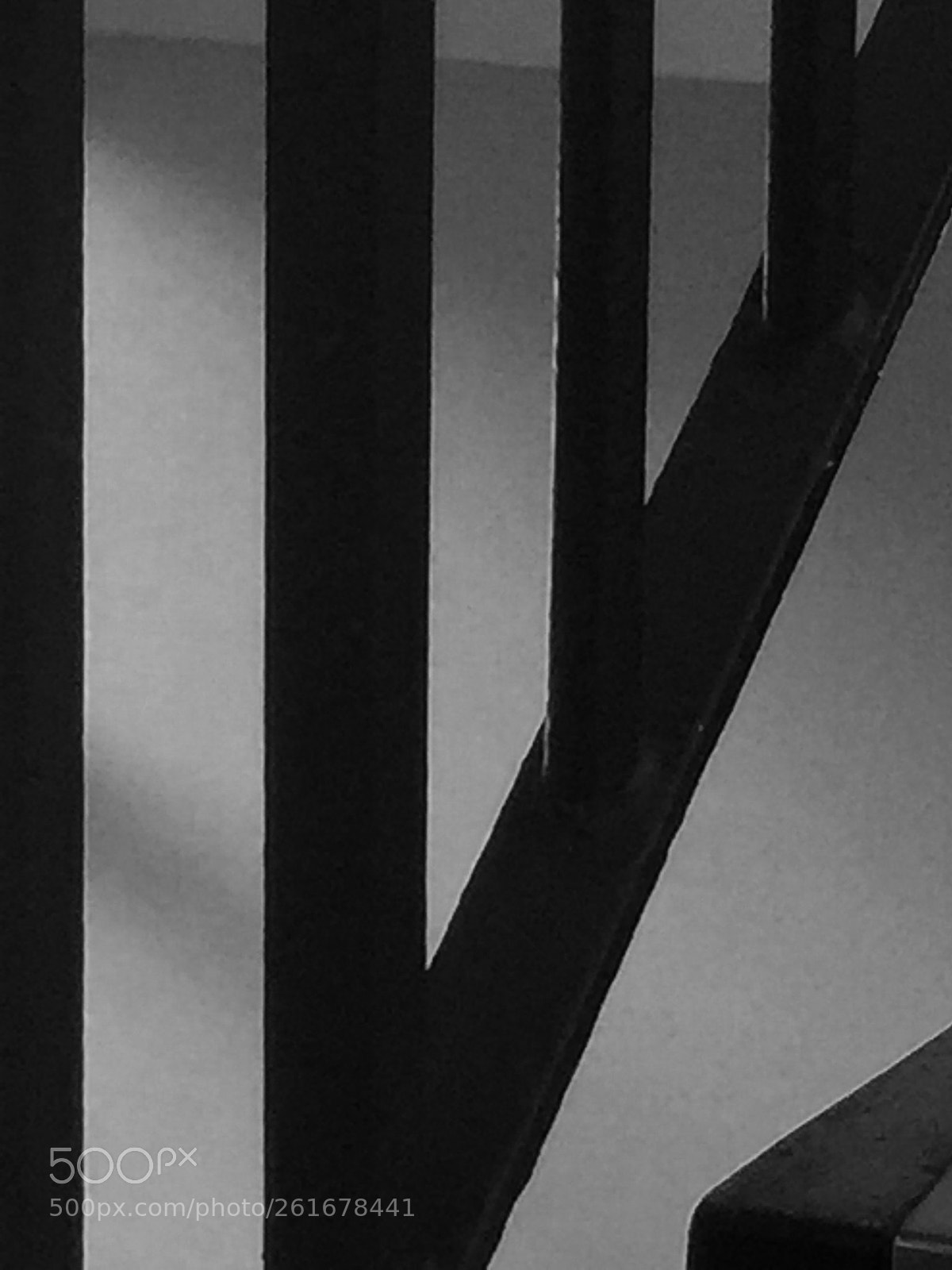 Apple iPhone 6 sample photo. Untitled photography