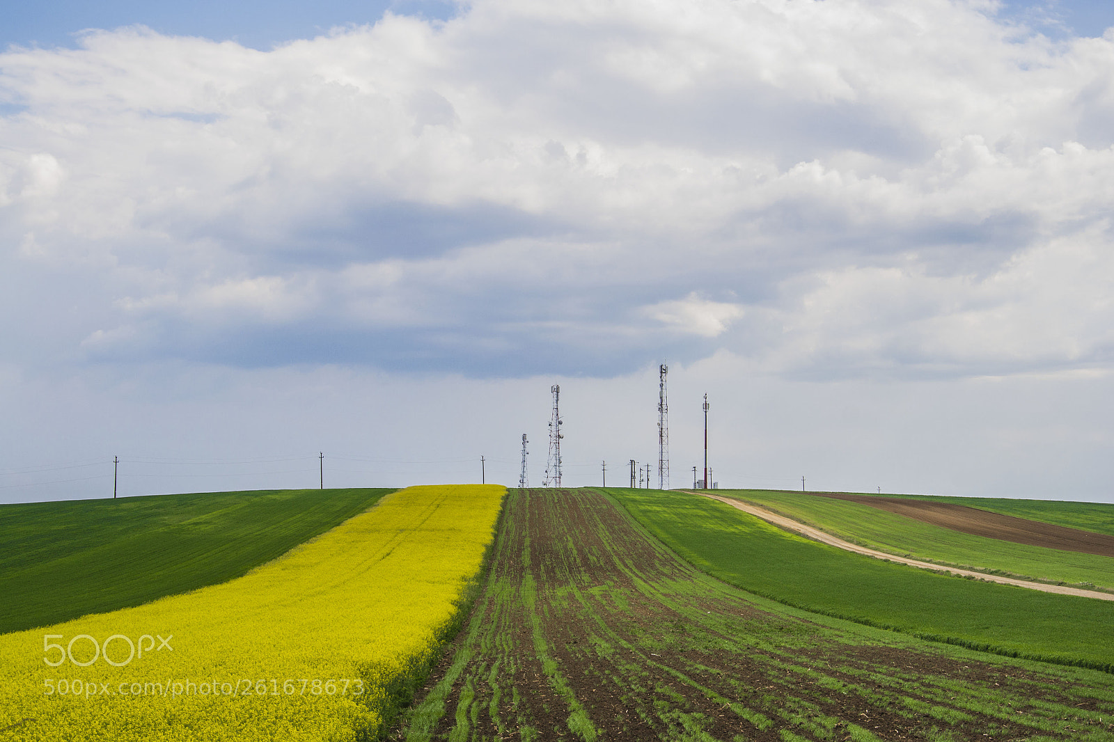 Nikon D3100 sample photo. Spring field photography