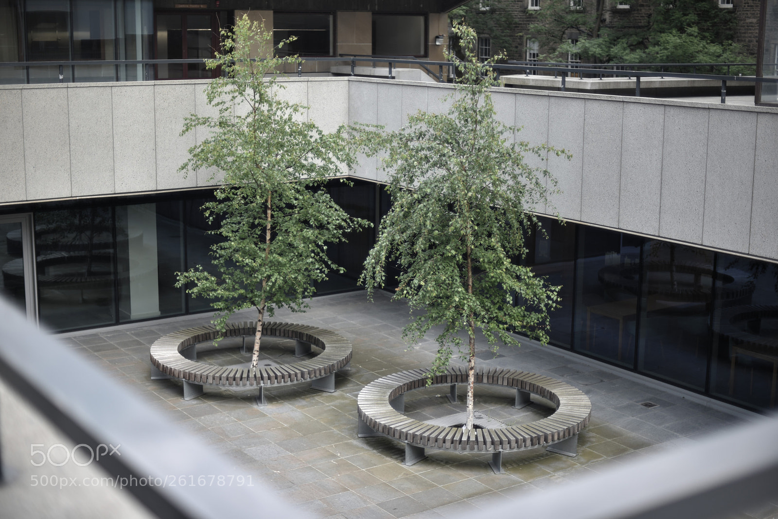 Nikon D750 + Nikon AF Nikkor 50mm F1.4D sample photo. Below dht photography