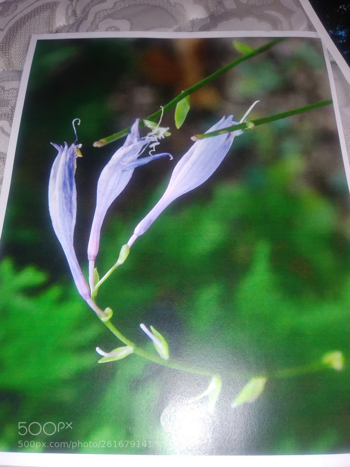 LG K20 PLUS sample photo. 1528658052781947929112.jpg photography