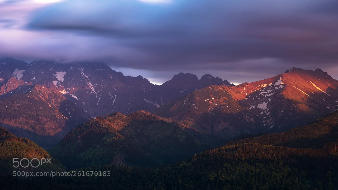 Nikon D810 sample photo. Tatra mountains in red photography