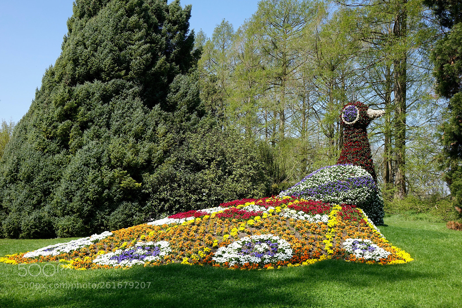 Sony Cyber-shot DSC-RX10 sample photo. Flower peacock photography