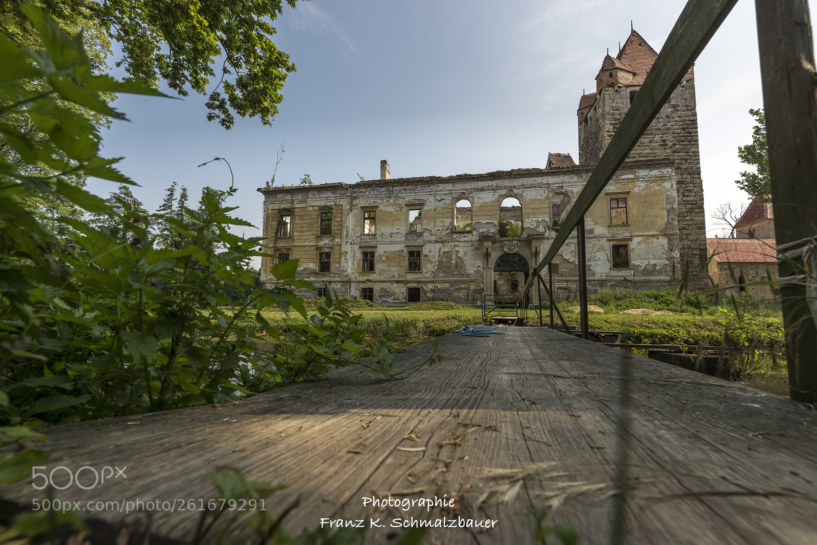 Nikon D810 sample photo. Untitled photography