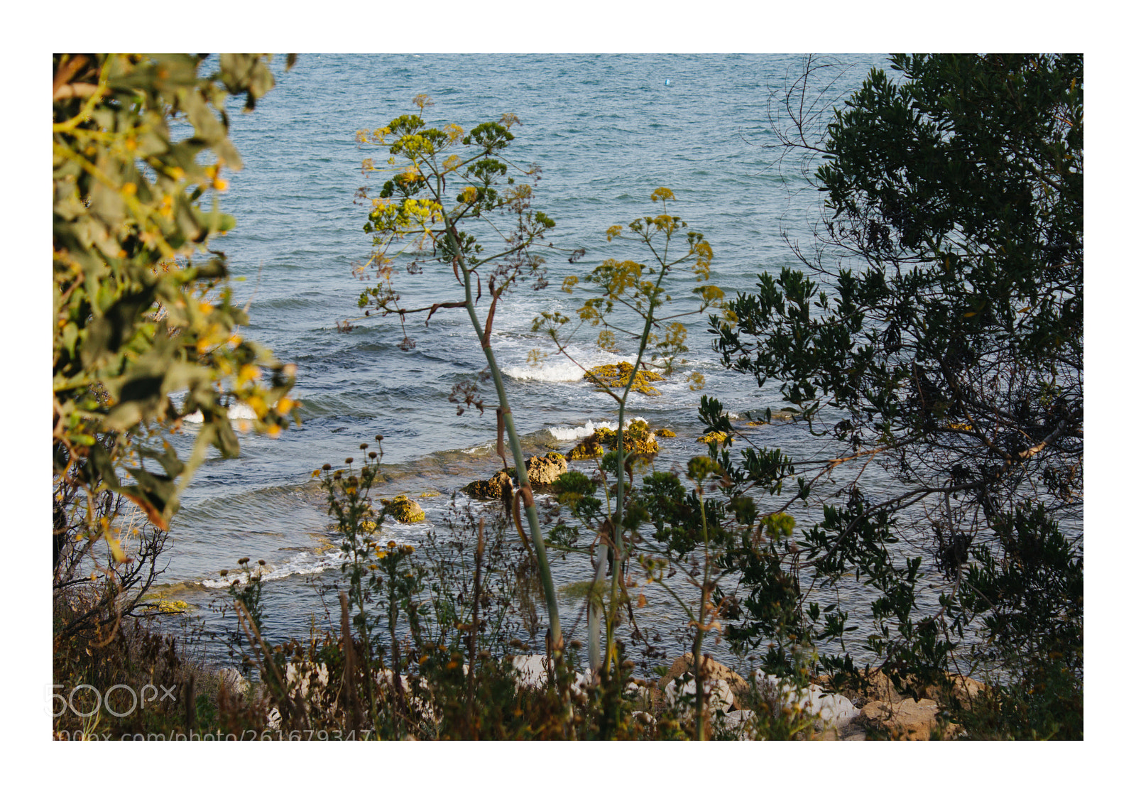 Canon EOS 60D sample photo. Hidden photography