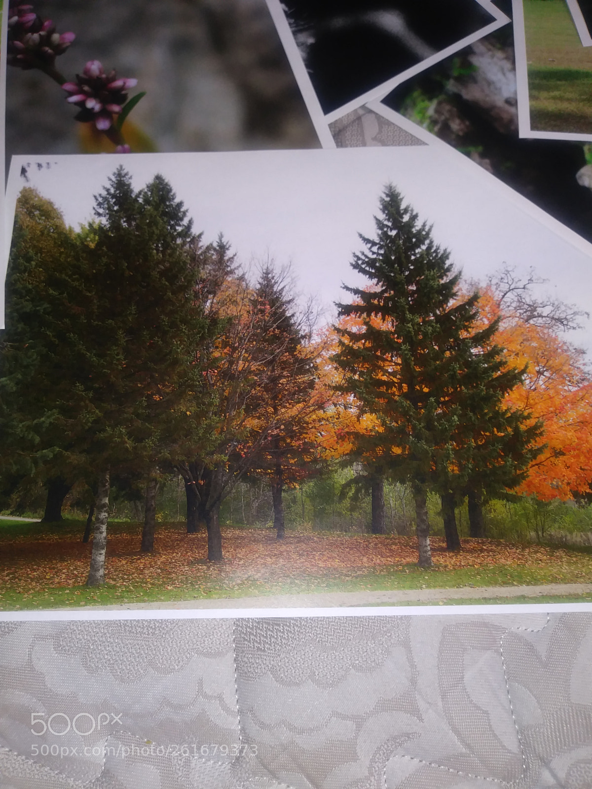 LG K20 PLUS sample photo. 15286581774251648688969.jpg photography