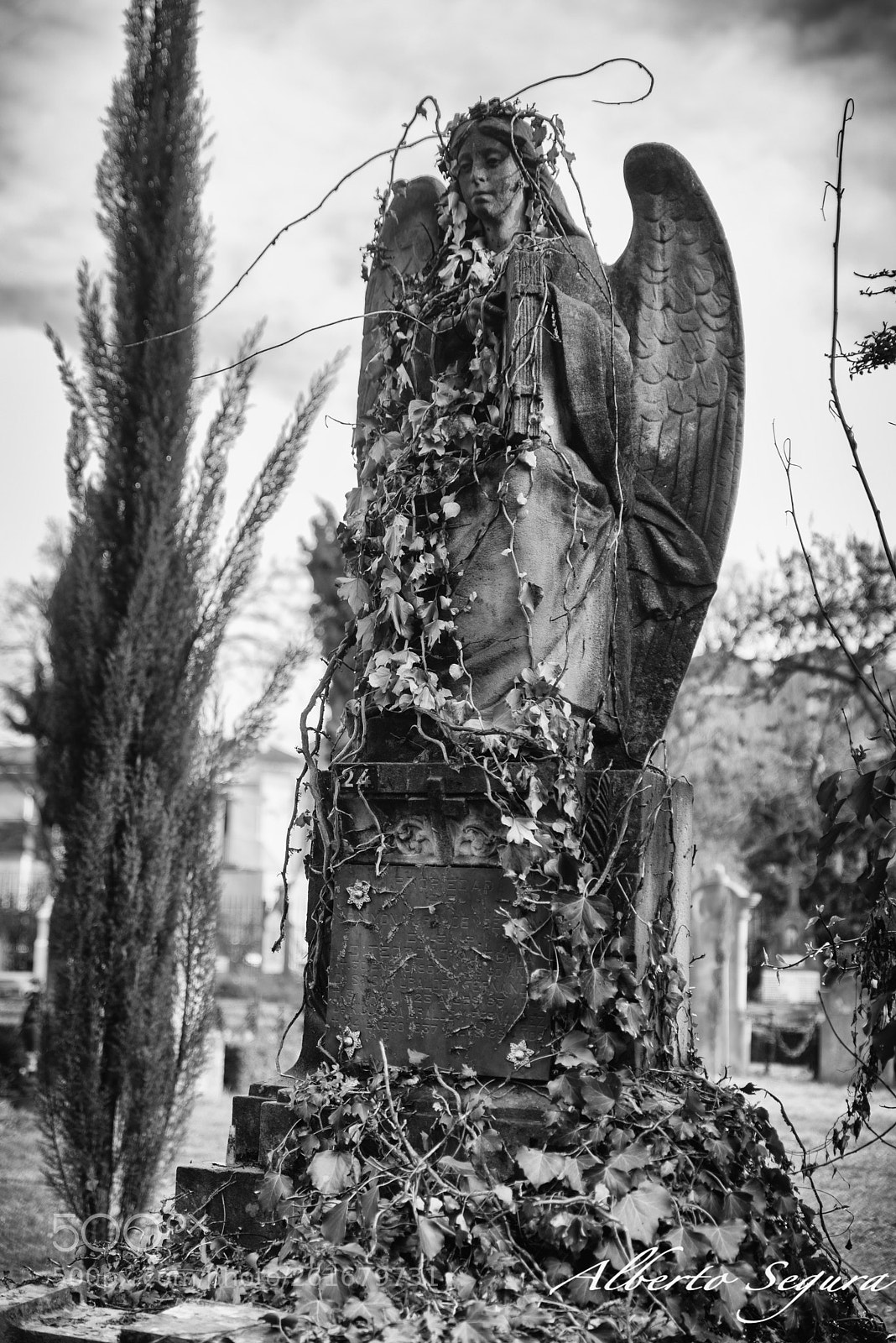 Nikon D610 sample photo. Cementerio photography