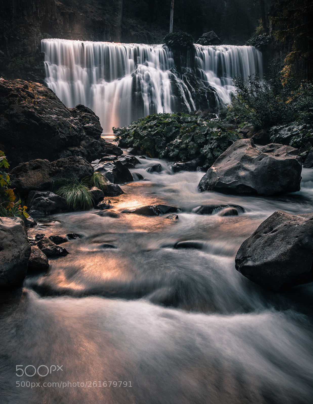 Nikon D7100 sample photo. Mccloud falls photography
