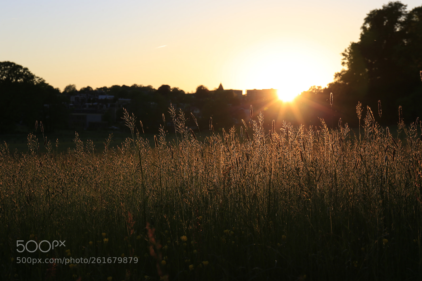 Canon EOS 6D sample photo. Wheat field sunset in photography