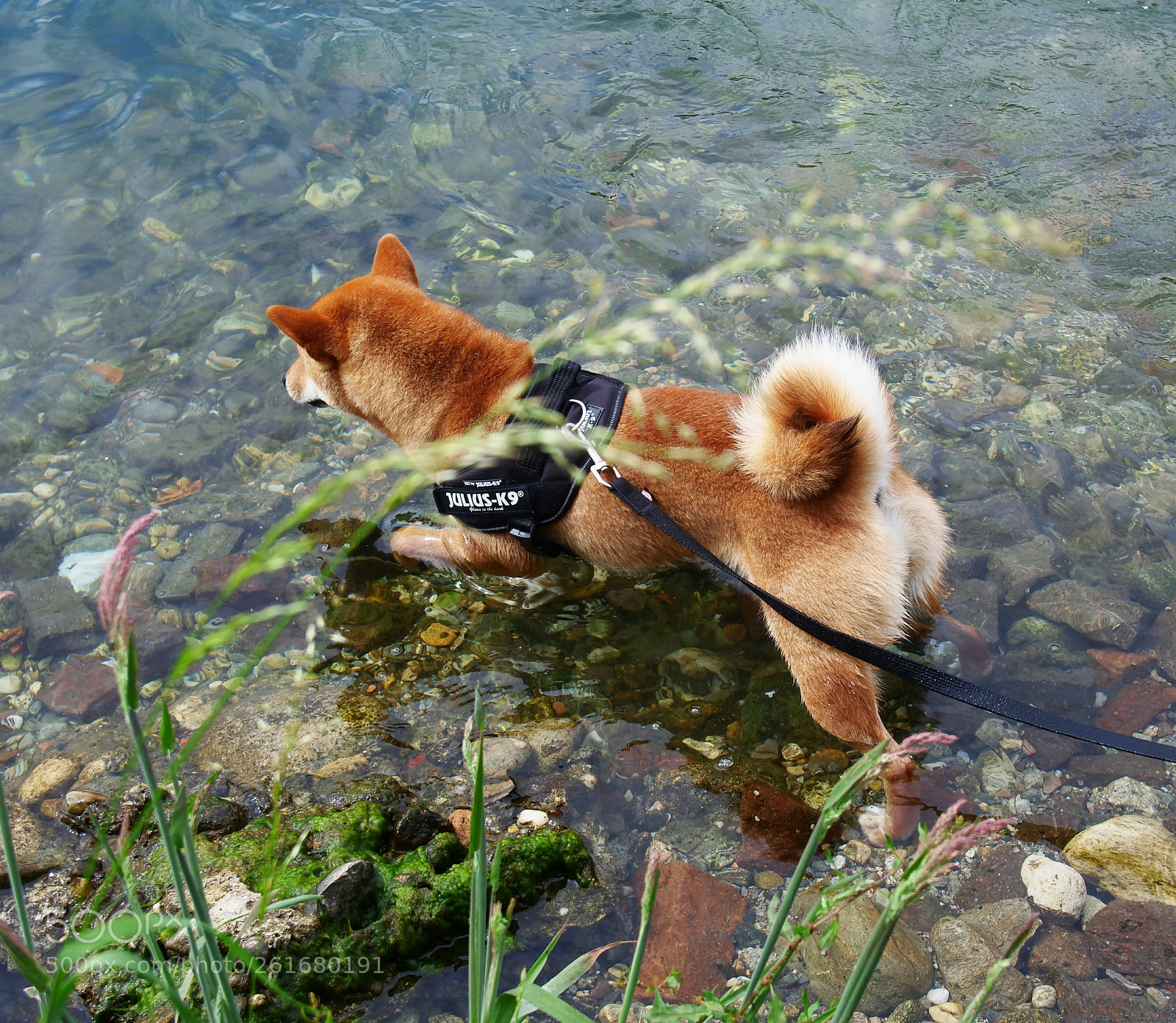 YI TECHNOLOGY M1 sample photo. Yuki at river photography