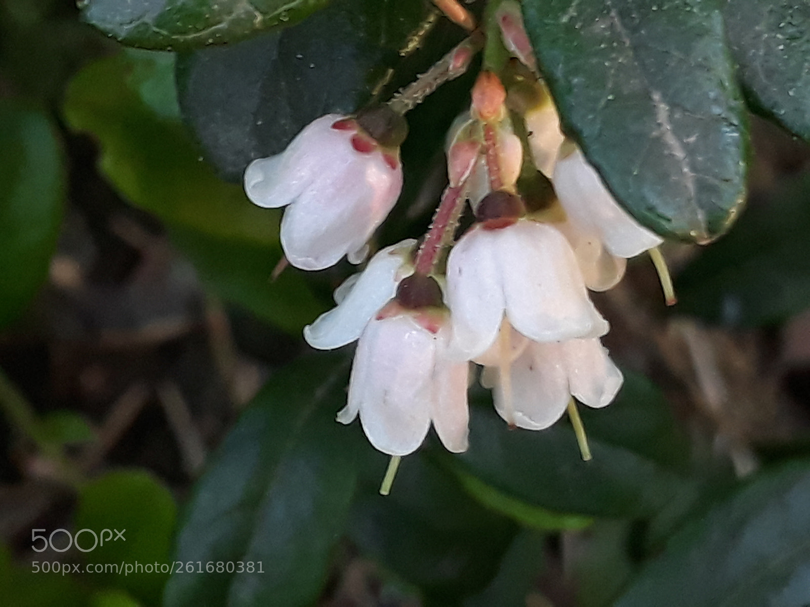 Samsung Galaxy J7 sample photo. Untitled photography