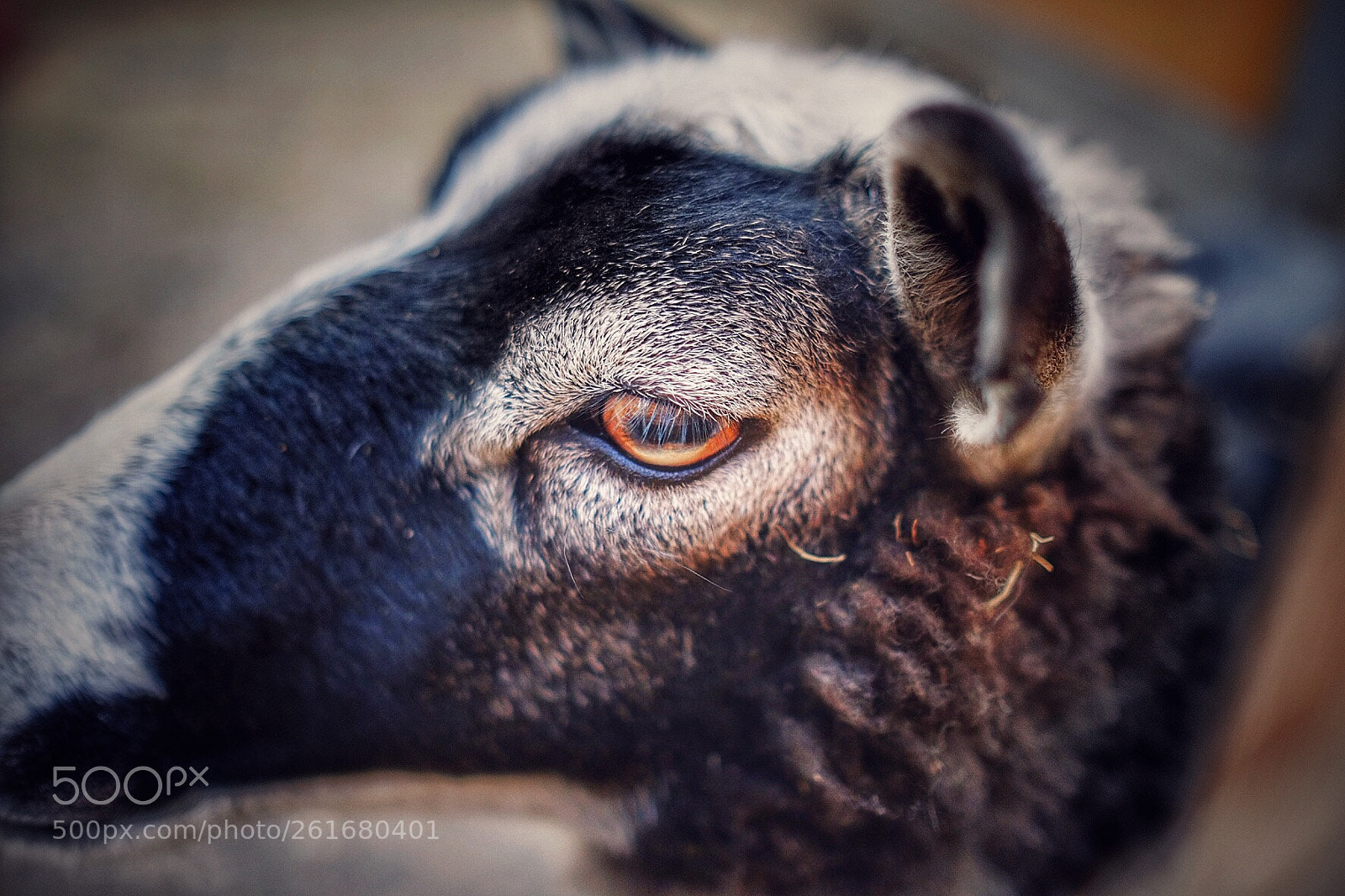 Fujifilm X-T10 sample photo. Untitled photography