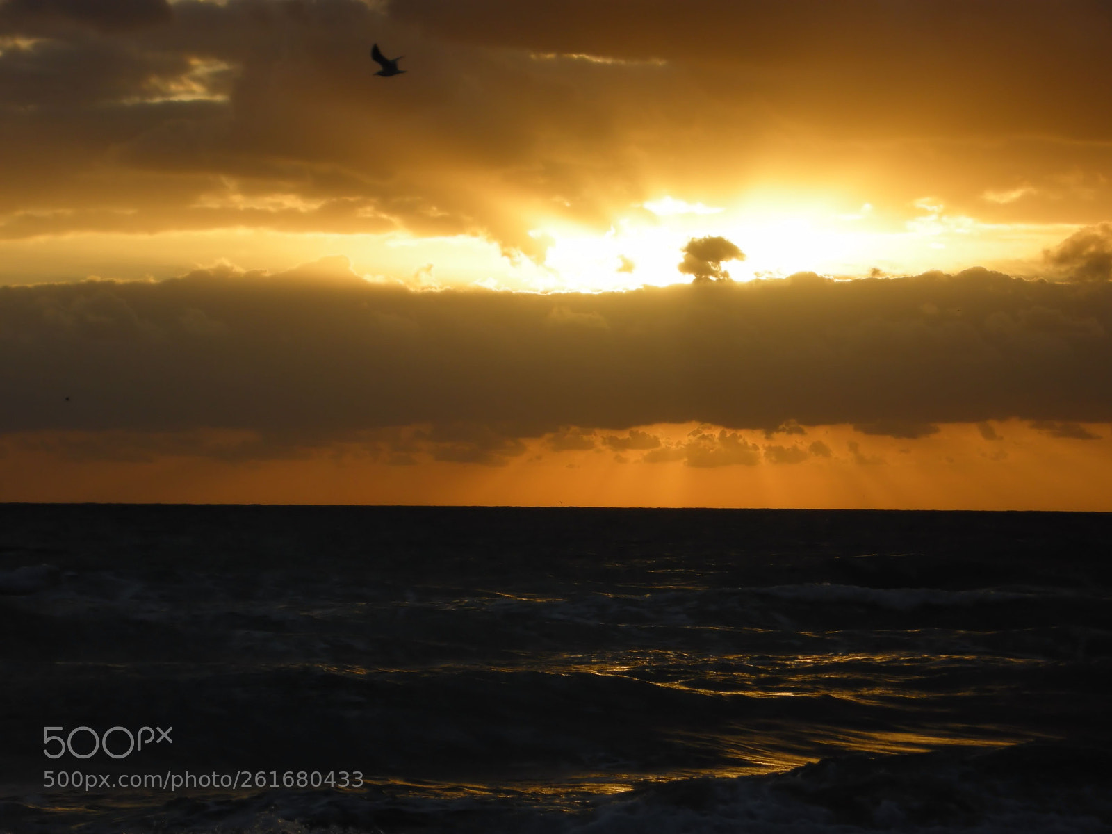 Nikon COOLPIX P5100 sample photo. Sunrise on hollywood, florida photography