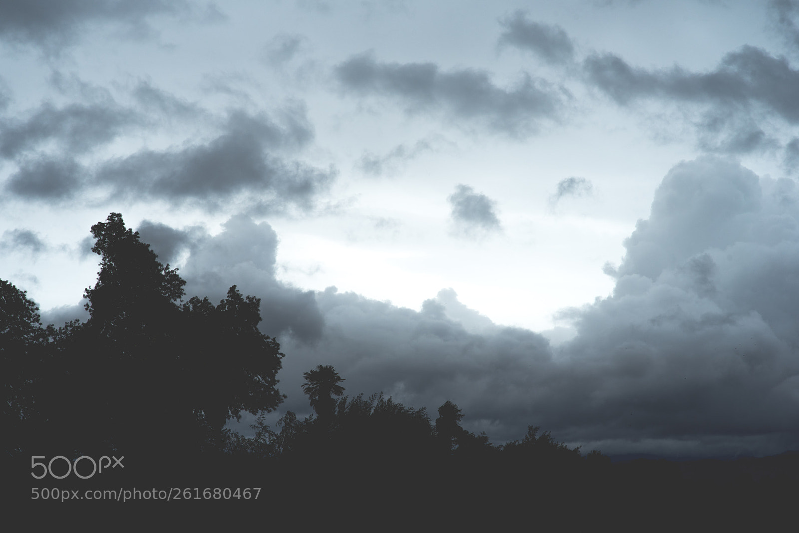 Nikon D750 sample photo. Just rain photography