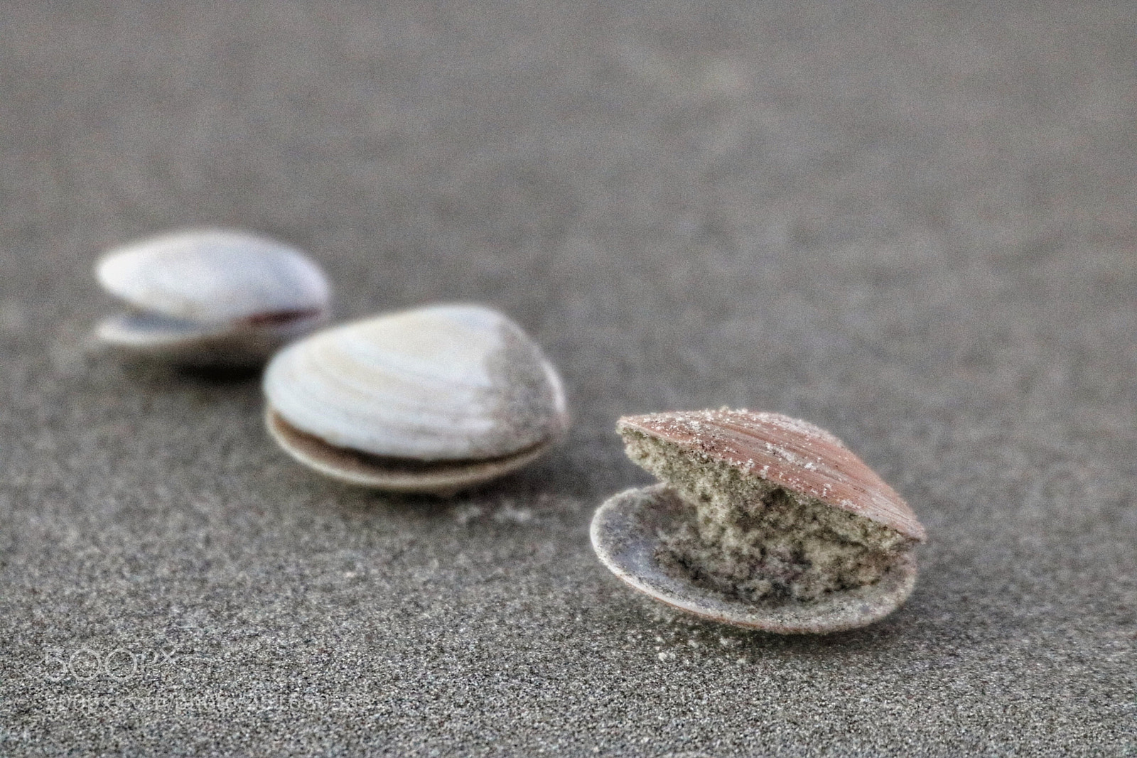 Canon EOS 750D (EOS Rebel T6i / EOS Kiss X8i) sample photo. Whole grain diet photography