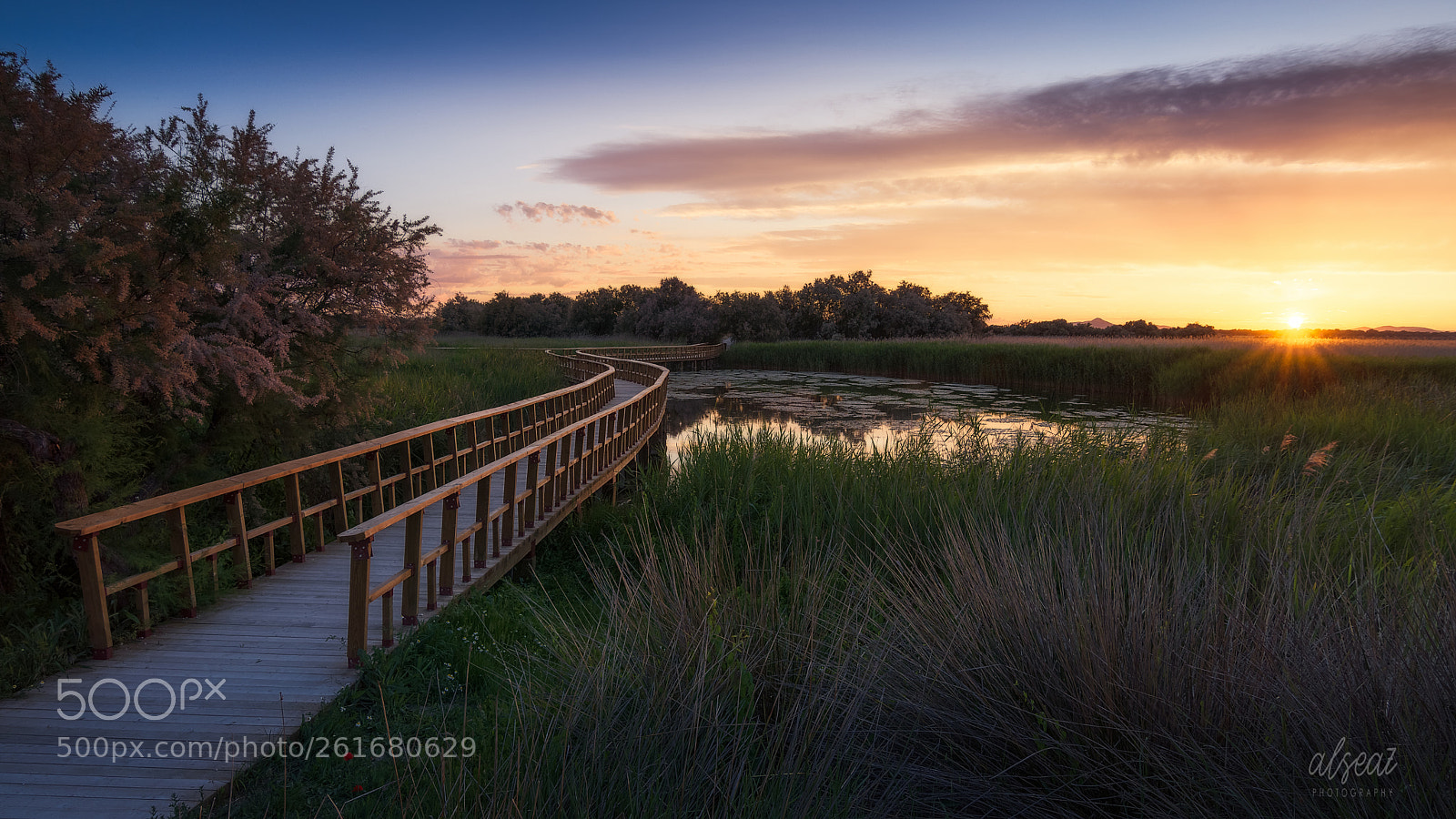 Nikon D7200 sample photo. Tablas de daimiel ciudad photography