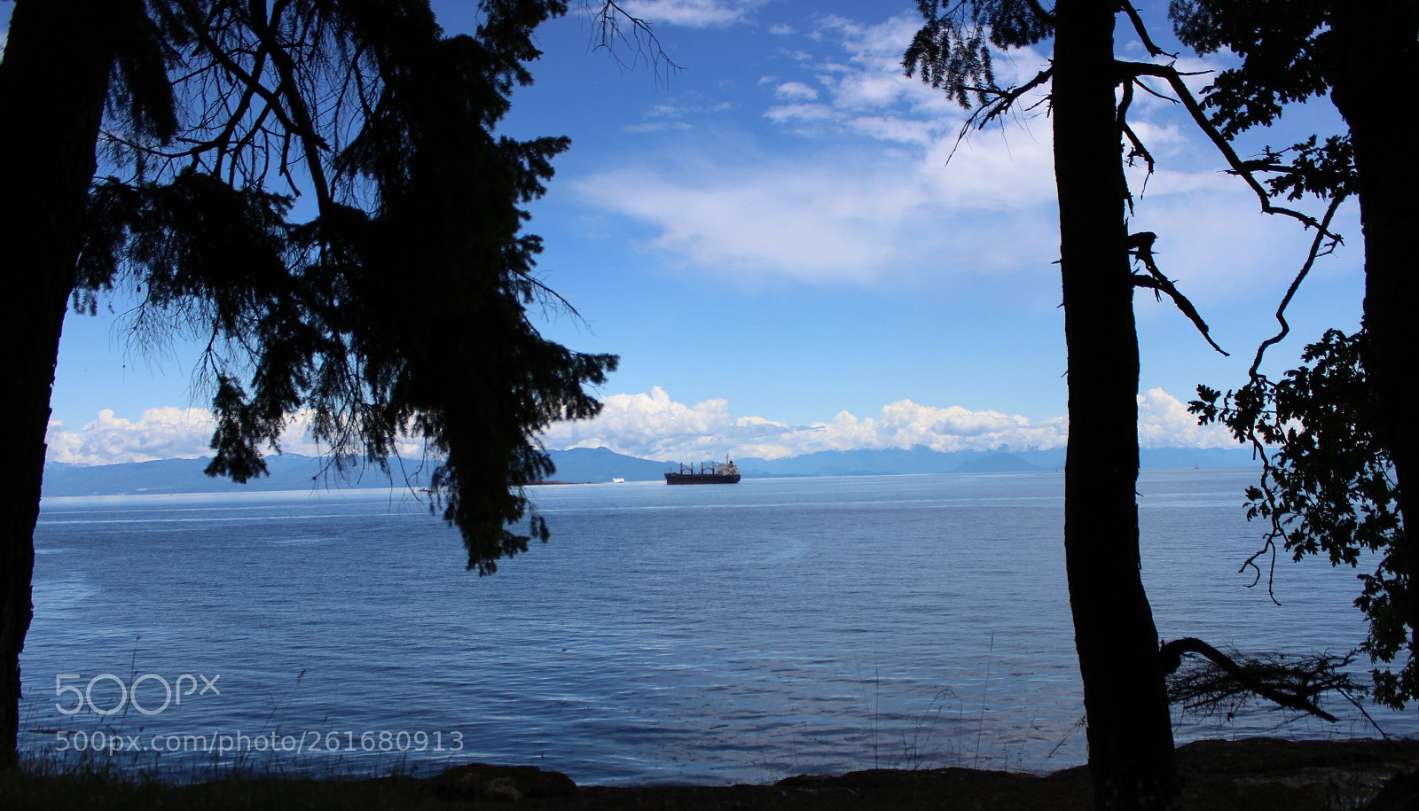 Canon EOS 600D (Rebel EOS T3i / EOS Kiss X5) sample photo. Relax! photography