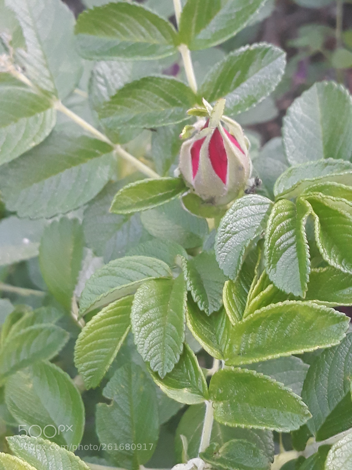 Samsung Galaxy J7 sample photo. Untitled photography