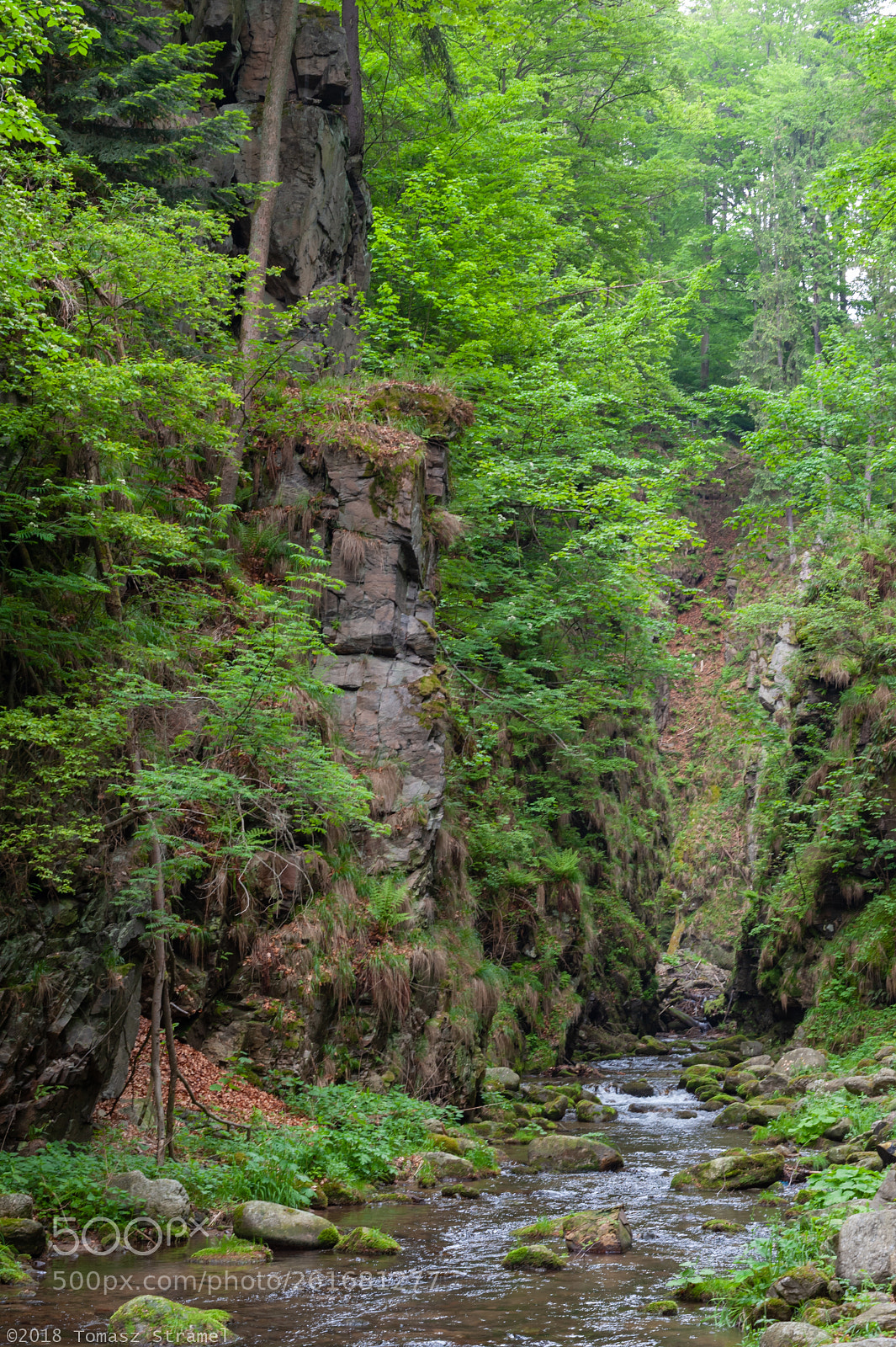 Nikon D700 sample photo. A gorge photography