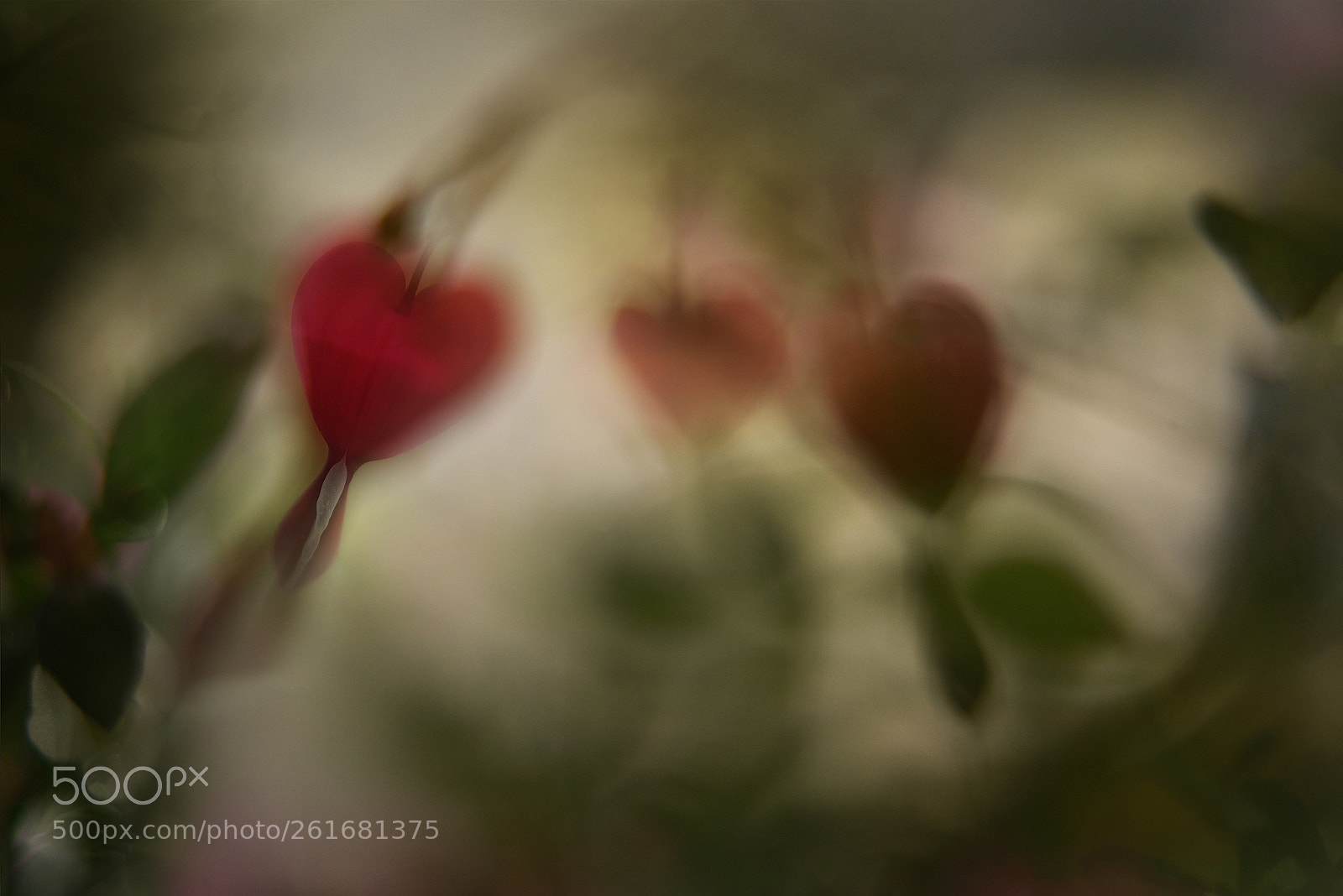 Nikon D750 sample photo. Hearts in the wind photography