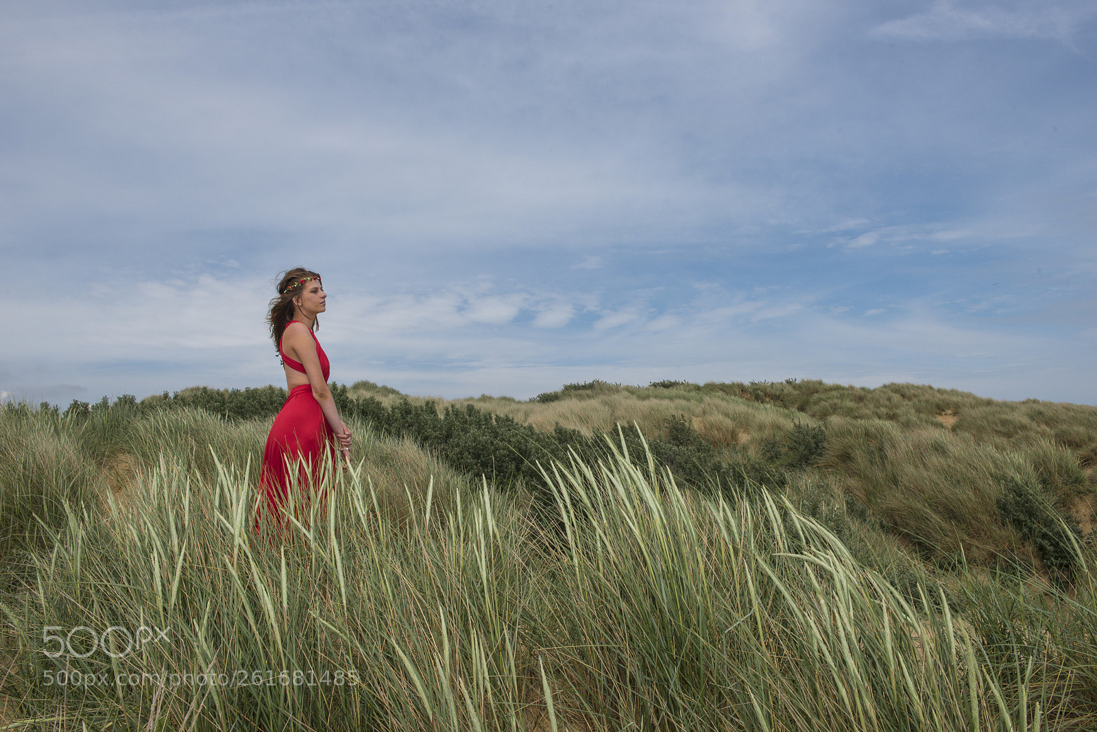 Nikon D750 sample photo. Ellie - the search photography