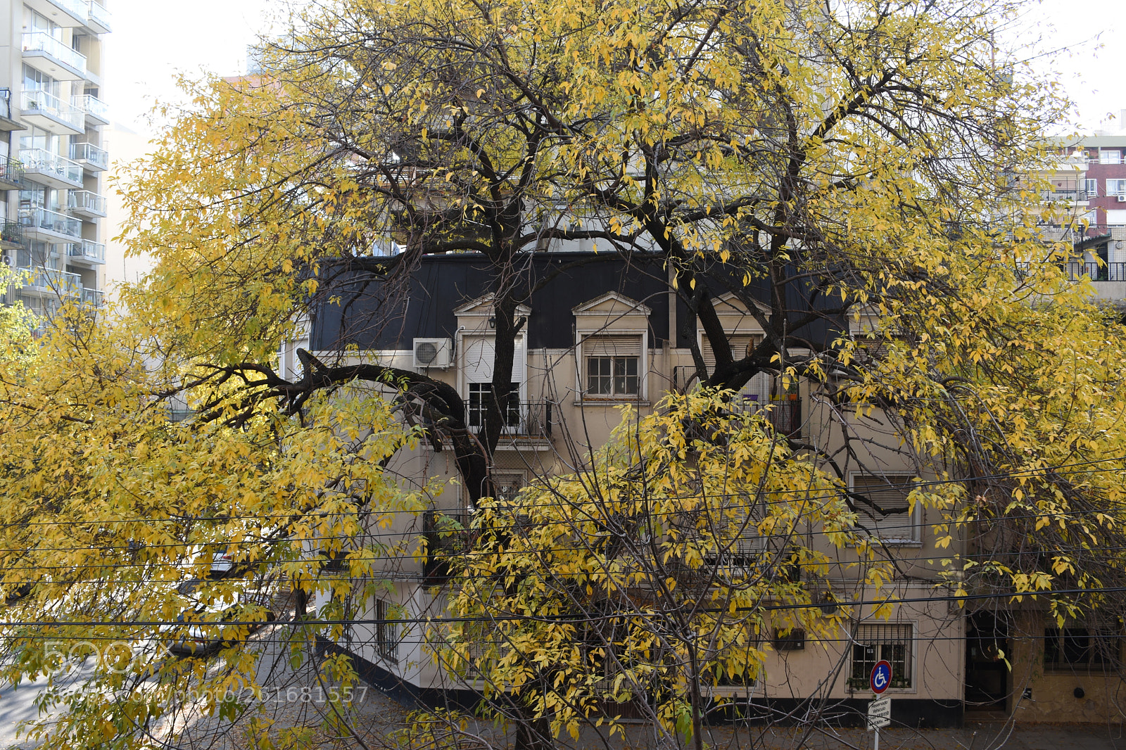 Nikon D7200 sample photo. El oto o nos photography