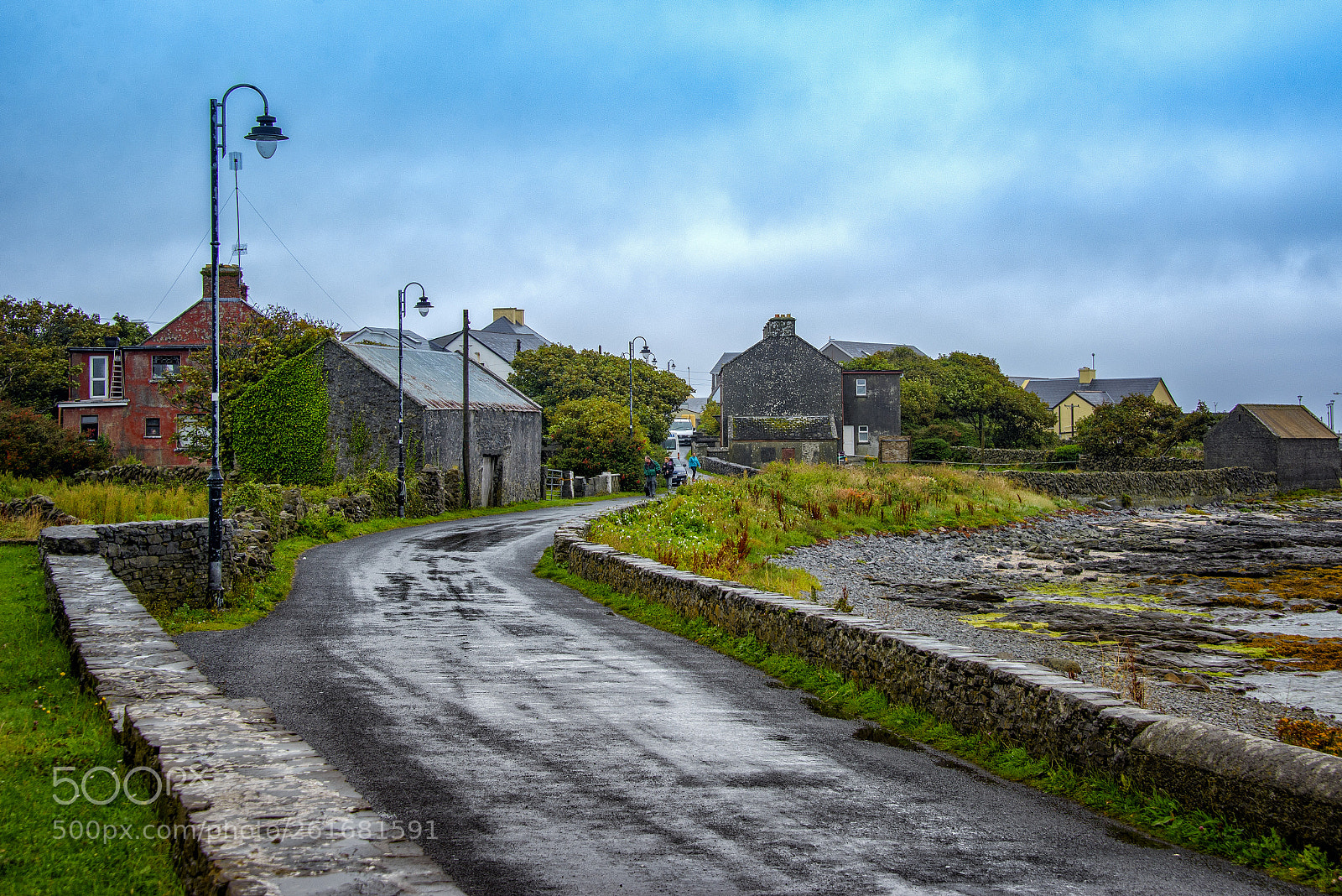 Nikon D600 sample photo. After the rain photography