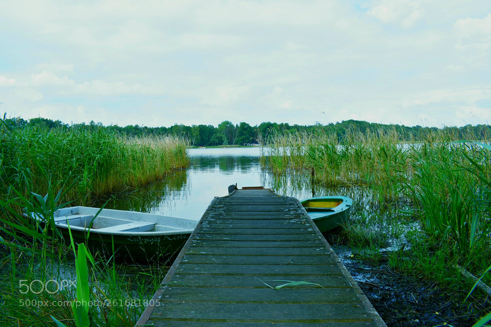 Nikon D3400 sample photo. Untitled photography