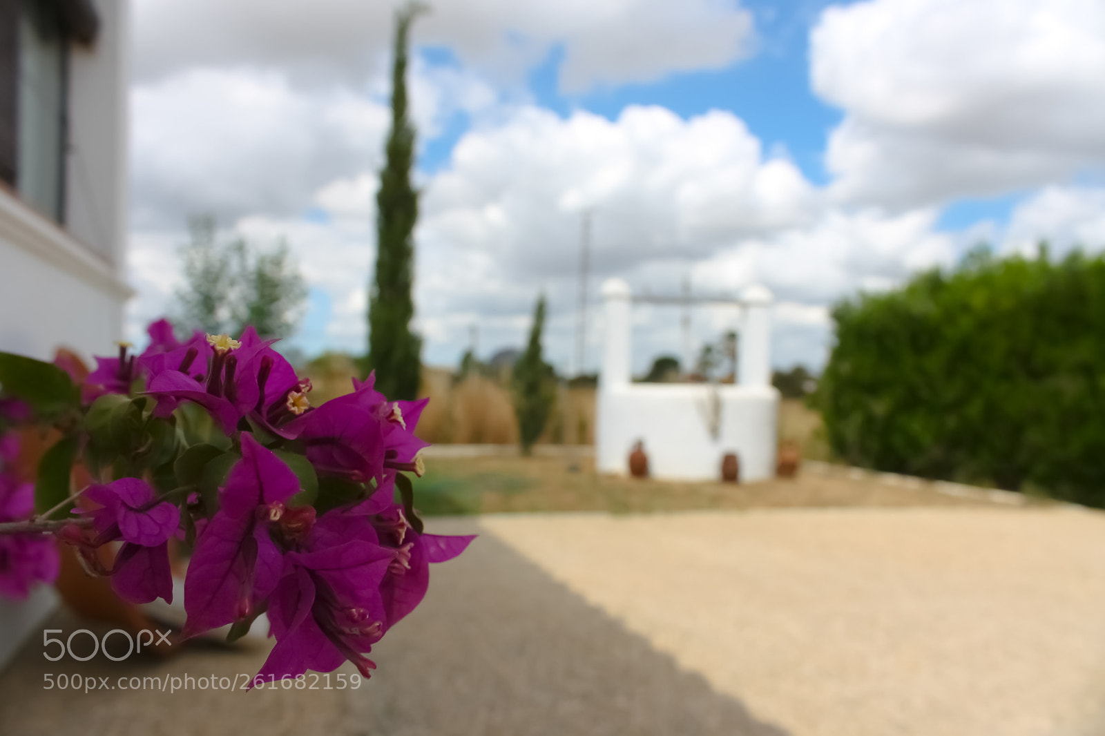 Canon EOS 1000D (EOS Digital Rebel XS / EOS Kiss F) sample photo. Beautifull photography