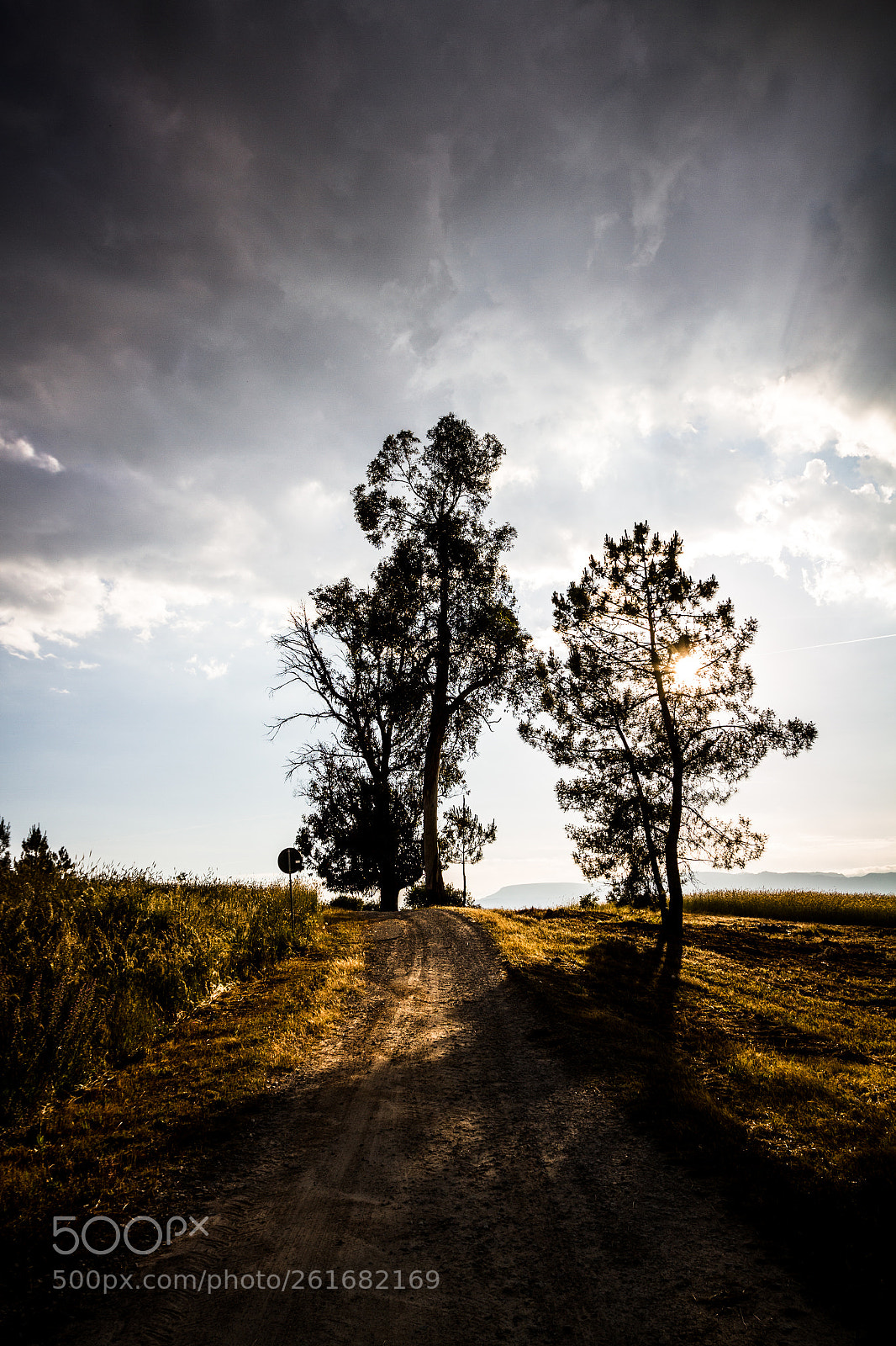 Canon EOS 7D sample photo. Portugal - nature photography