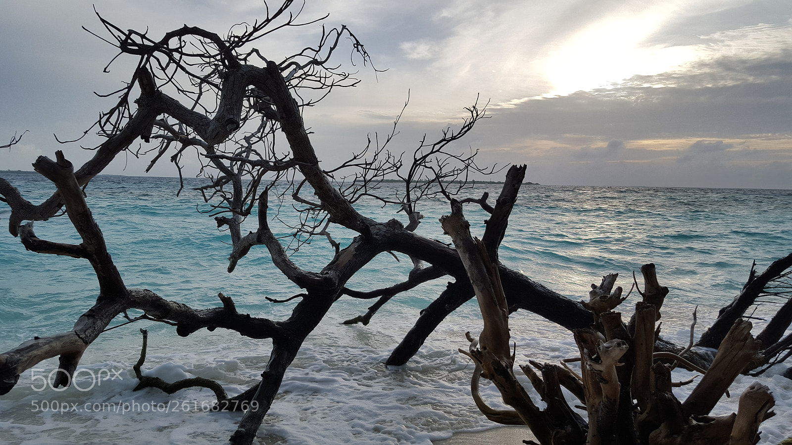 Samsung Galaxy S6 sample photo. Untitled photography