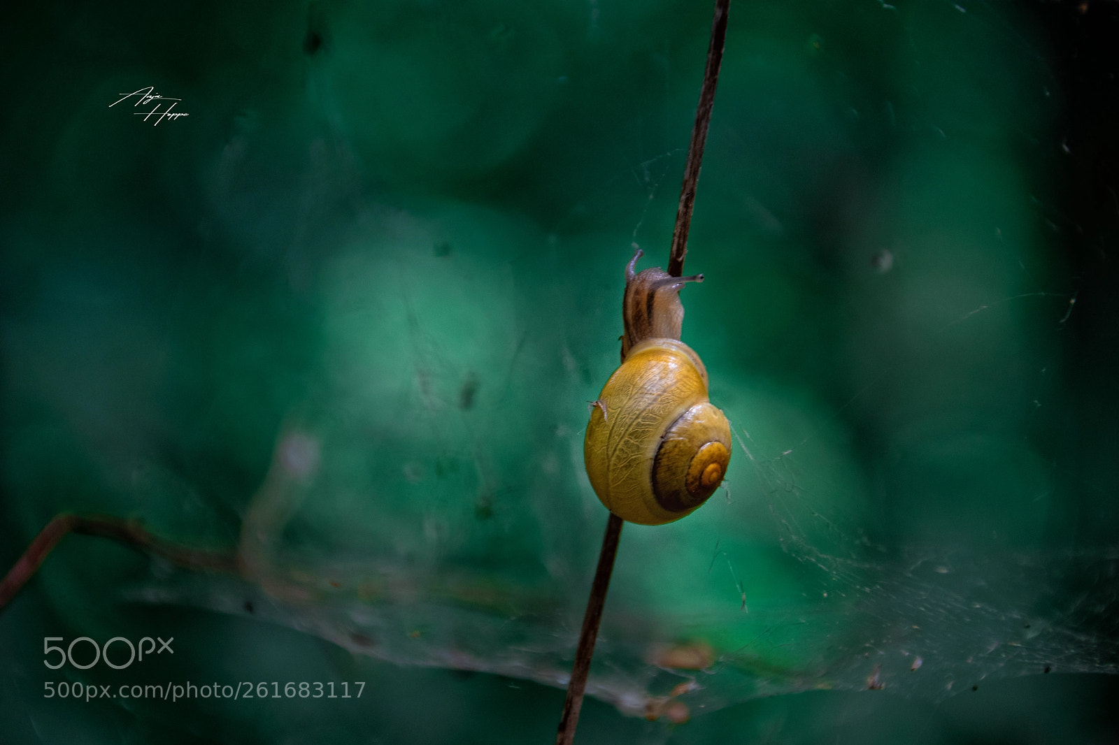 Nikon D5500 sample photo. Hoch hinaus photography