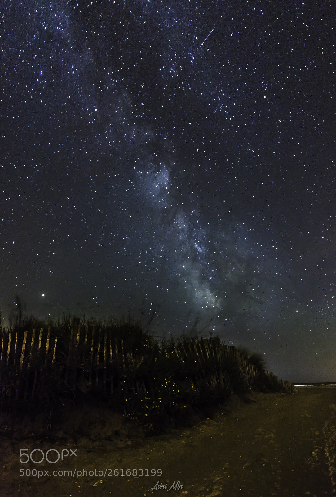 Nikon D5100 sample photo. Milkyway in camargue photography
