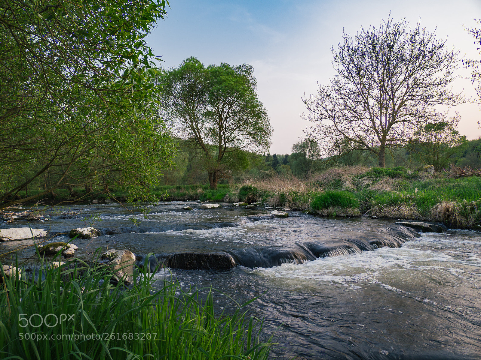 Olympus OM-D E-M10 II sample photo. German wilderness photography