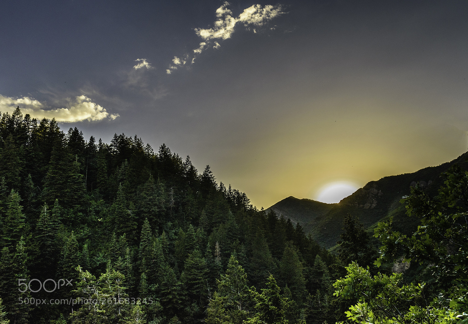 Nikon D5500 sample photo. Millcreek sunset photography