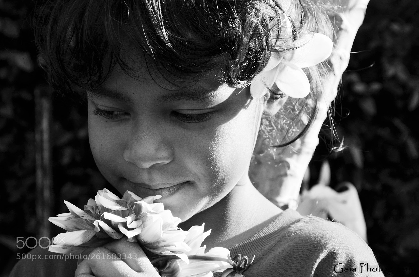 Nikon D5100 sample photo. Untitled photography