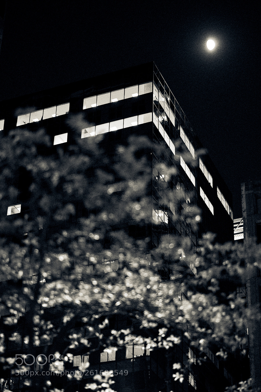 Fujifilm X-T2 sample photo. City moonlight photography