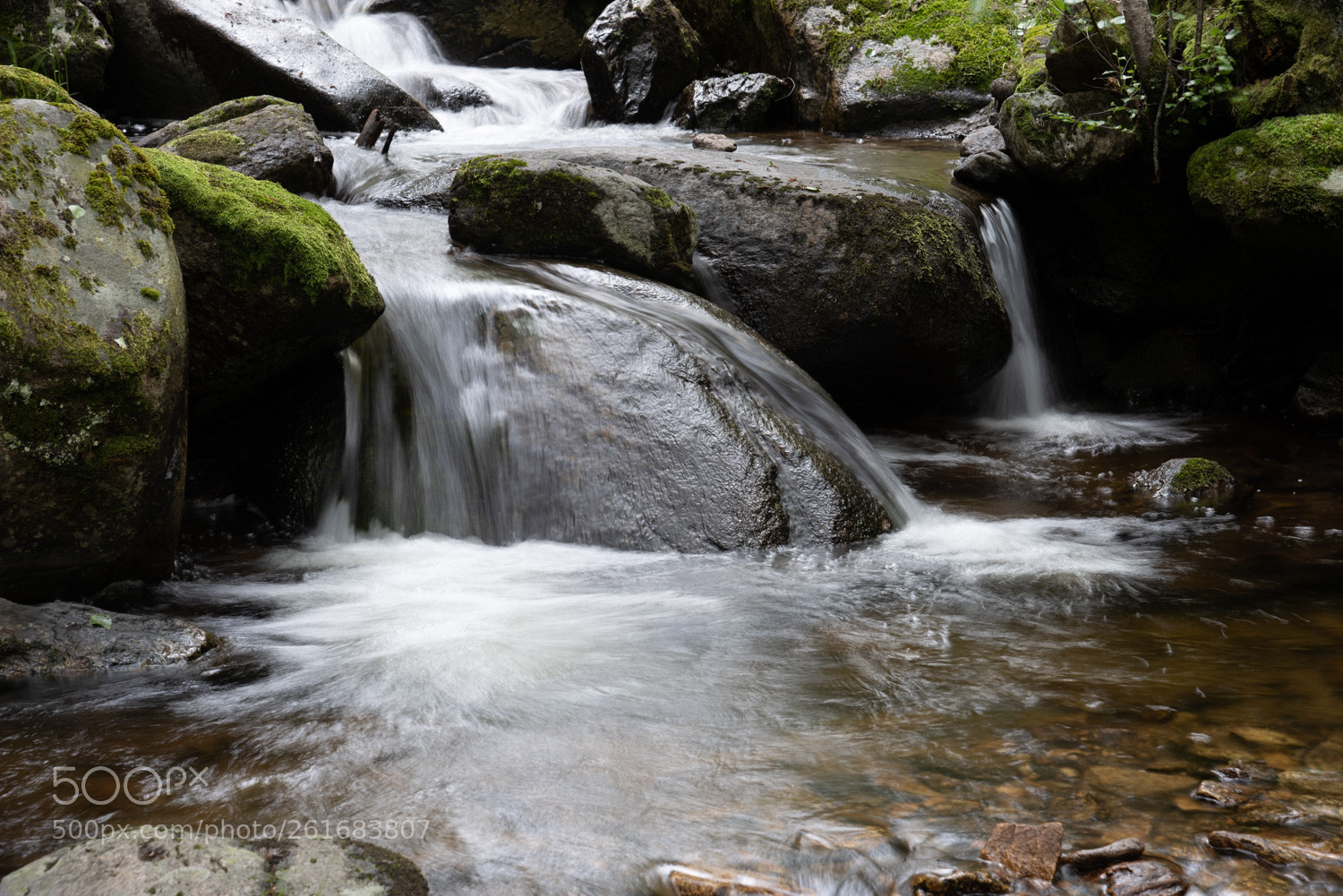 Nikon D750 sample photo. Arroyo de canencia, bajando photography