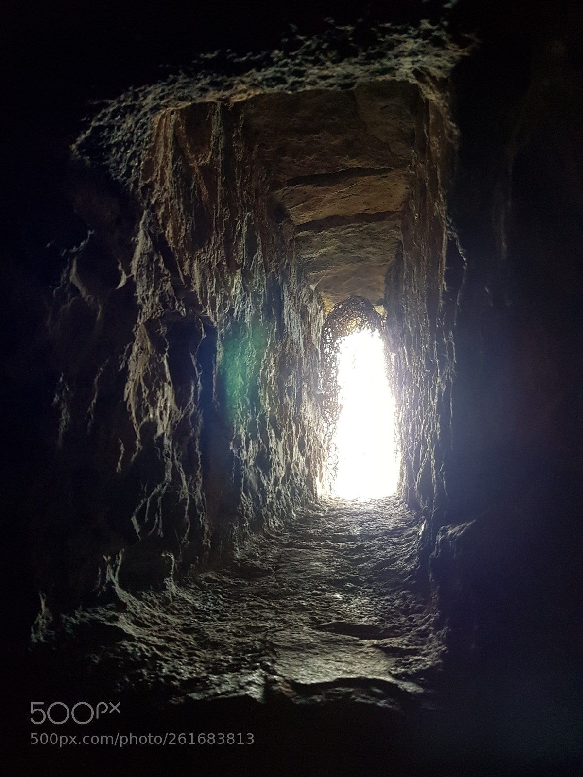 Samsung Galaxy S8 sample photo. Out the rabbit hole..... photography