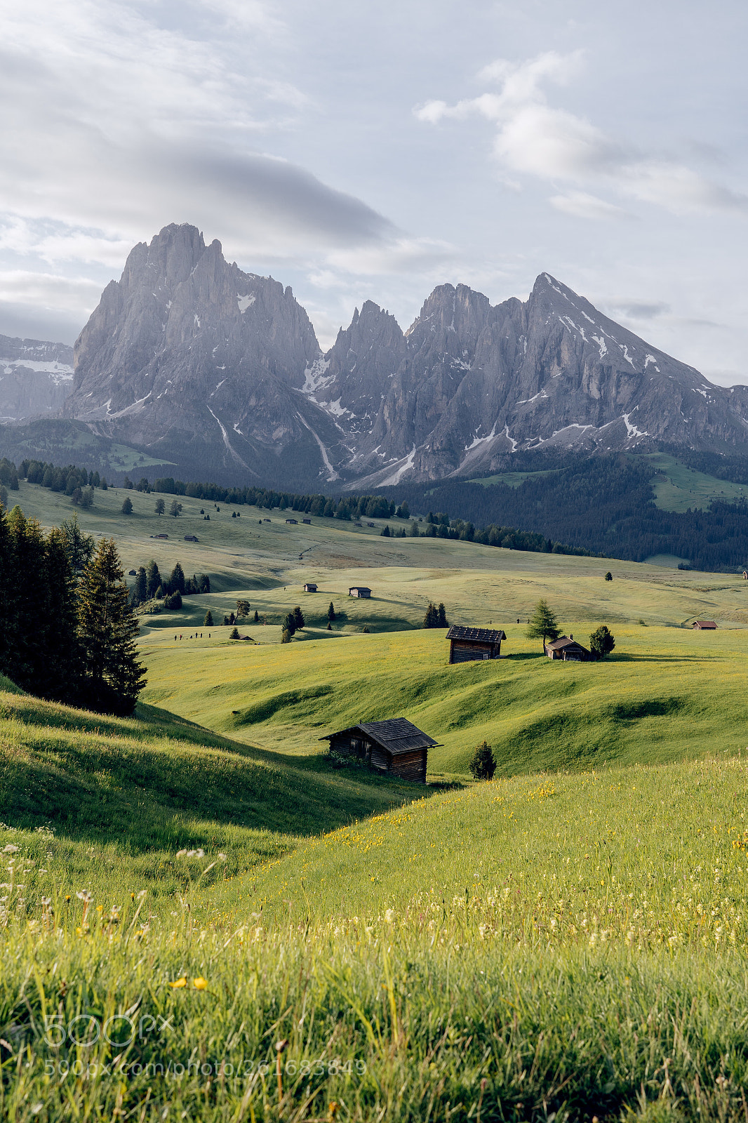 Sony a7 III sample photo. Morning at seiser alm photography