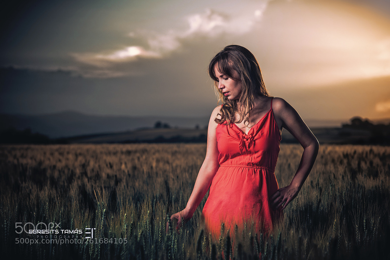 Nikon D750 sample photo. Imola photography