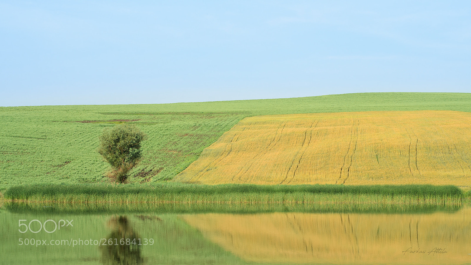 Nikon D7000 sample photo. Summer... photography
