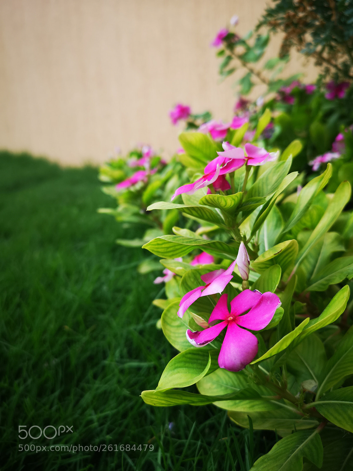 HUAWEI CLT-L29 sample photo. Untitled photography