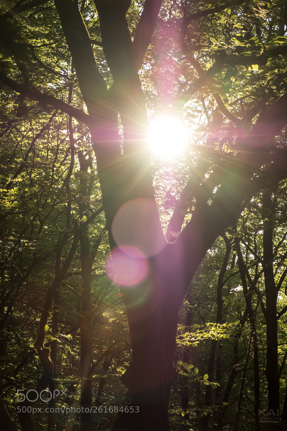 Fujifilm X-T2 sample photo. Daylight photography