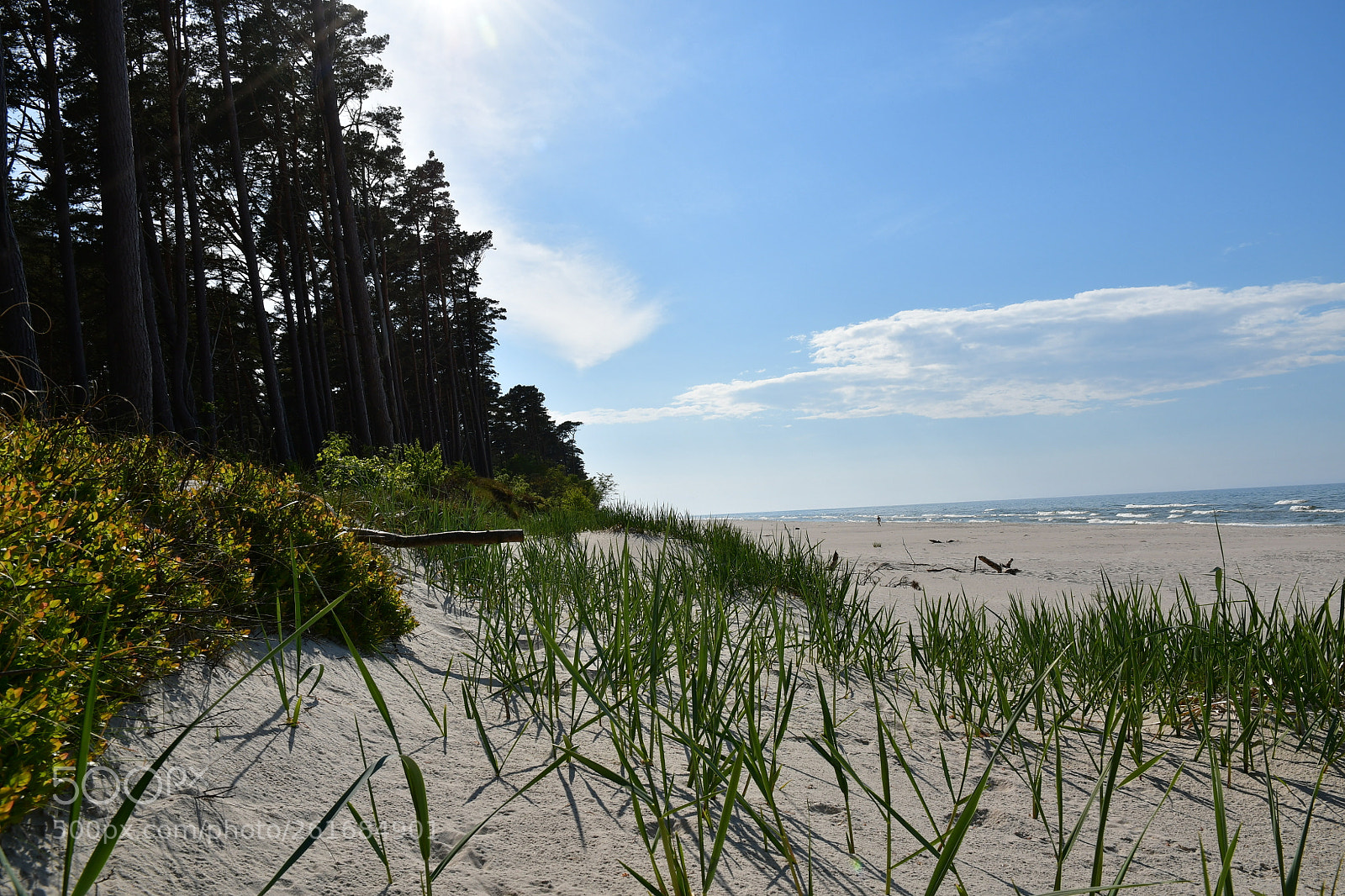 Nikon D500 sample photo. Summer impressions from debki photography