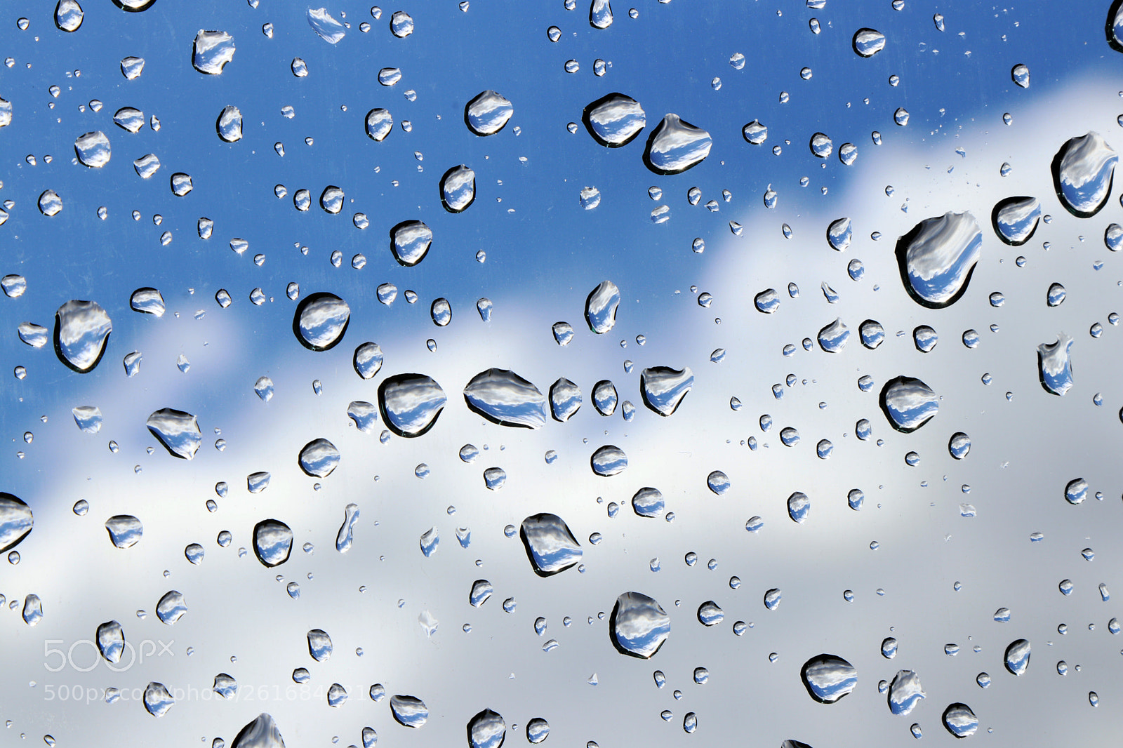 Canon EOS 77D (EOS 9000D / EOS 770D) sample photo. Drops of water on photography