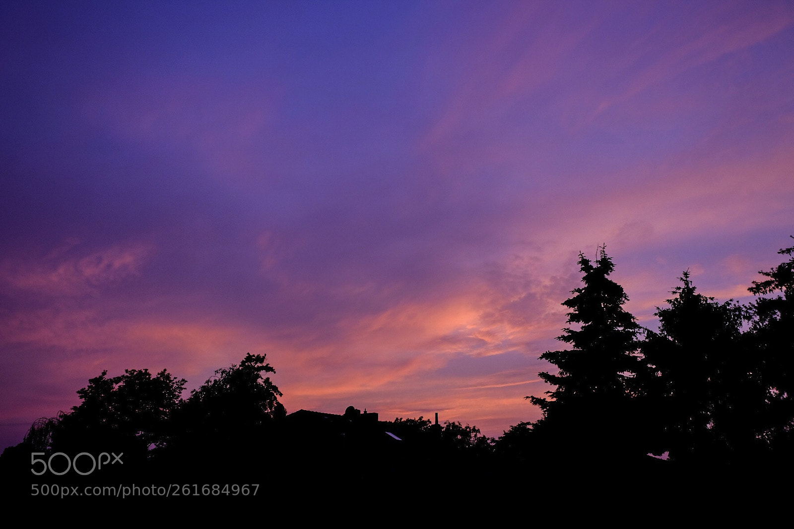 Fujifilm X-T20 sample photo. Untitled photography