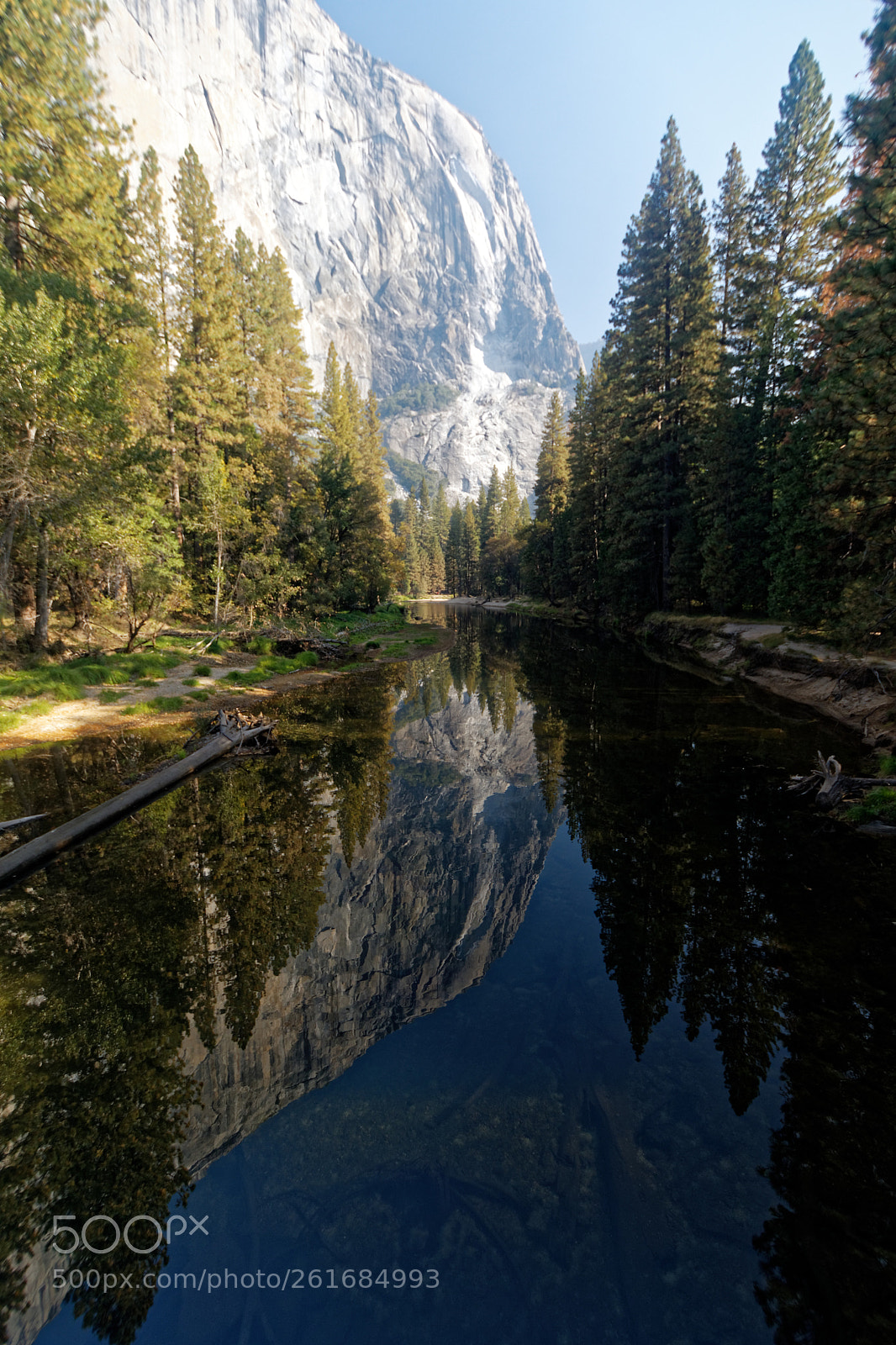 Nikon D500 sample photo. Yosemite photography
