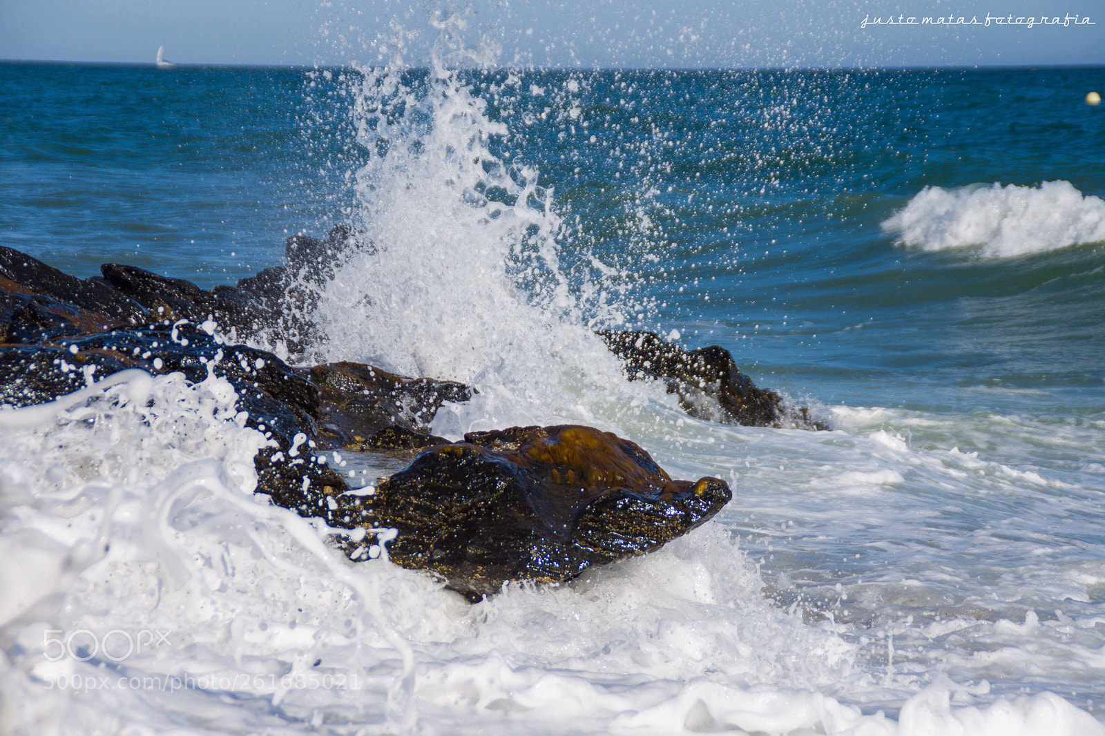 Nikon D7200 sample photo. Salpico photography