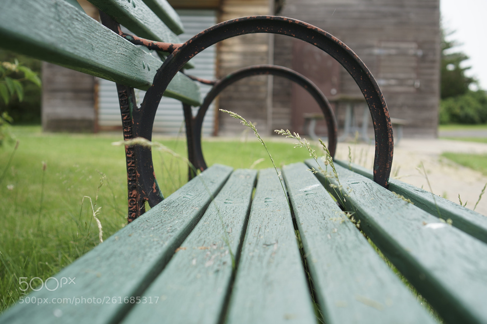 Sony a6500 + Sony E 35mm F1.8 OSS sample photo. Park photography