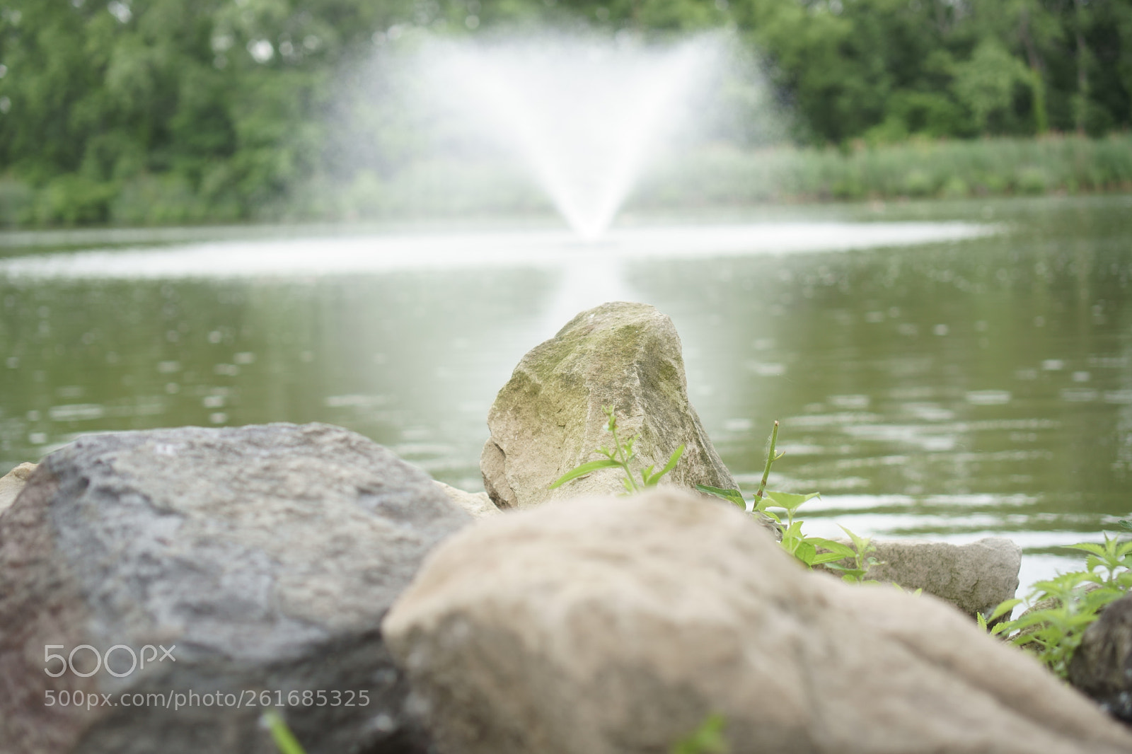 Sony a6500 + Sony E 35mm F1.8 OSS sample photo. Park photography